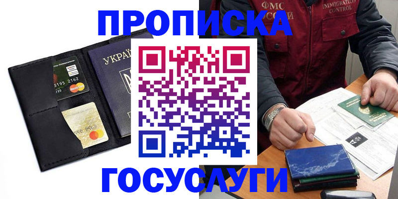 прописка законно в Камешково
